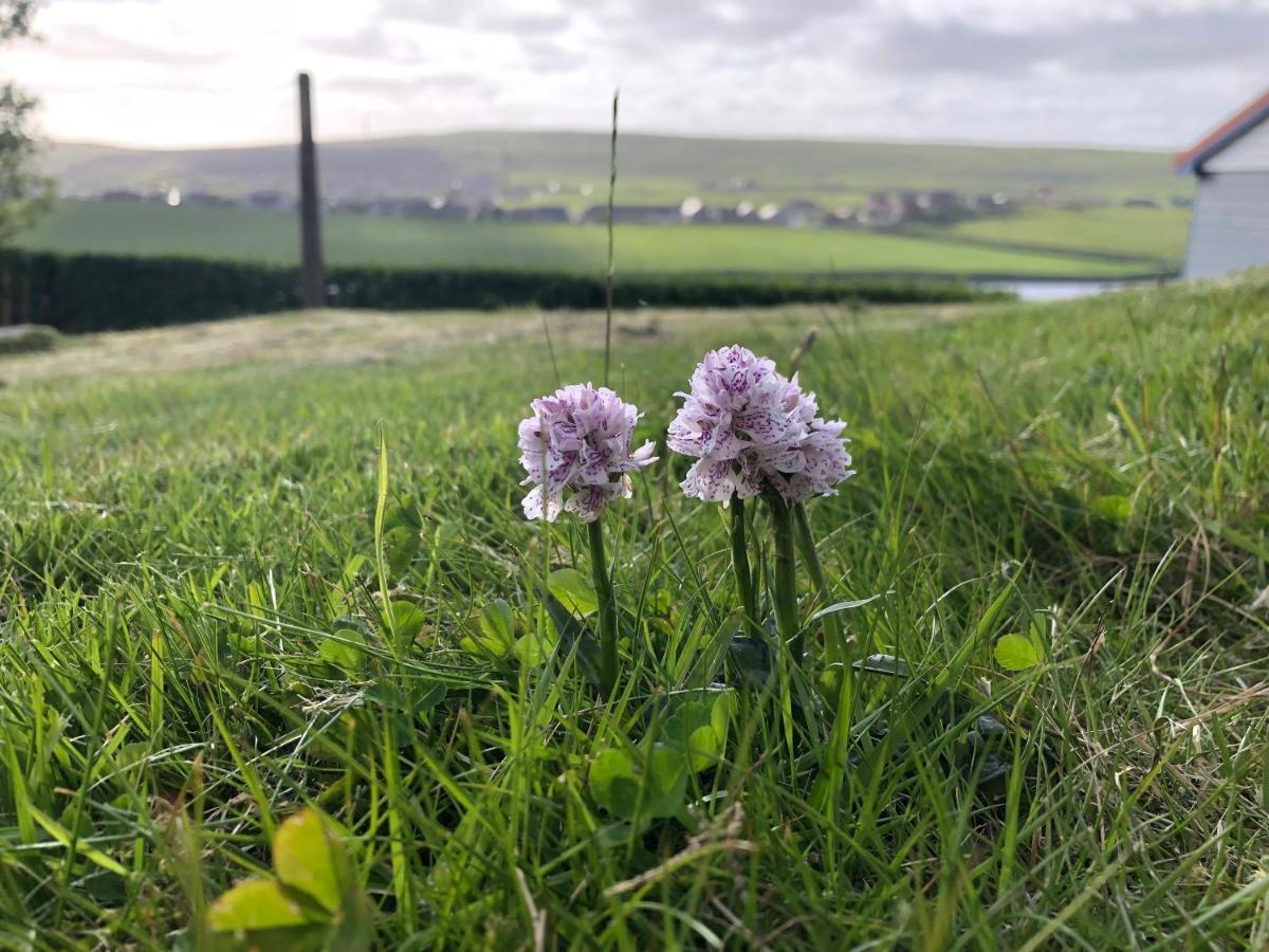 Scalloway Easterhoull Chalets מראה חיצוני תמונה